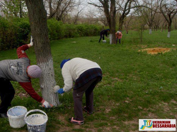Педагоги и учащиеся школ Арцизчины высадили в районе более 180 деревьев и 50 кустов