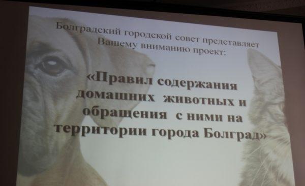 презентация в Болграде