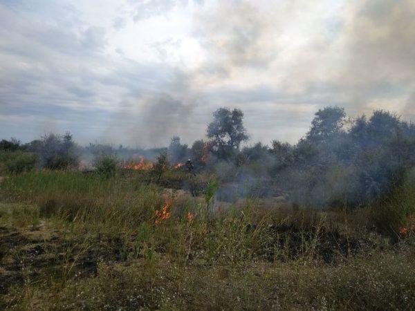 пожар, Одесская область