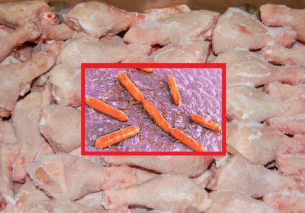 В Одесскую область из Польши привезли курицу с опасной инфекцией