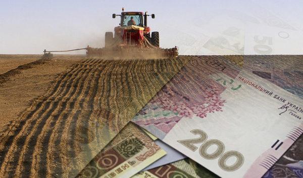Фискальщики «накрыли» фермера из Одесской области