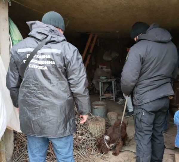 В Болградском районе пограничники совместно с полицейскими обнаружили наркотики и оружие (фото)