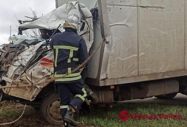 В Одесской области грузовик слетел с дороги и врезался в дерево – водителя зажало в салоне(фото)