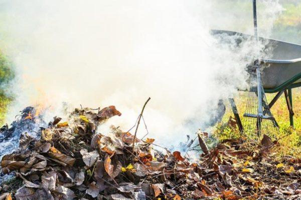Пожилая женщина погибла в Одесской области, сжигая мусор во дворе