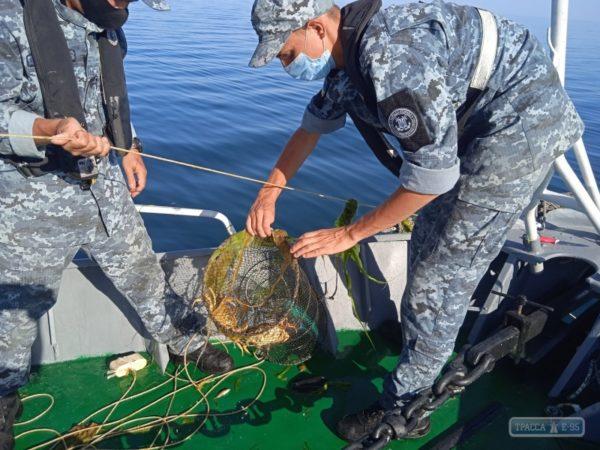 Экипаж катера Одесского отряда Морской охраны спас более 1000 крабов, попавшихся в незаконные орудия лова браконьеров