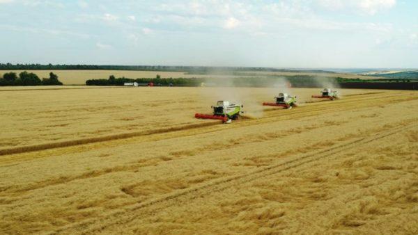 В Одесской области аграрии собрали второй миллион тонн зерна нового урожая: какие районы лидируют