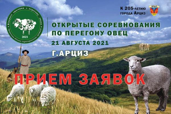 В Арцизе ищут чабанов желающих принять участие в Открытых соревнованиях по перегону овец