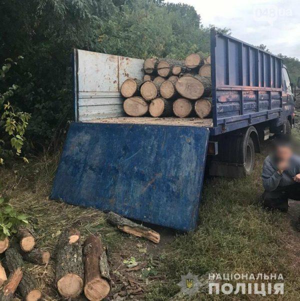 В Одесской области поймали “черных лесорубов” (фото)