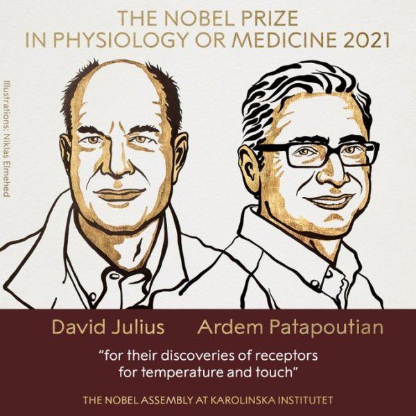 Объявлены лауреаты Нобелевской премии 2021 года по медицине
