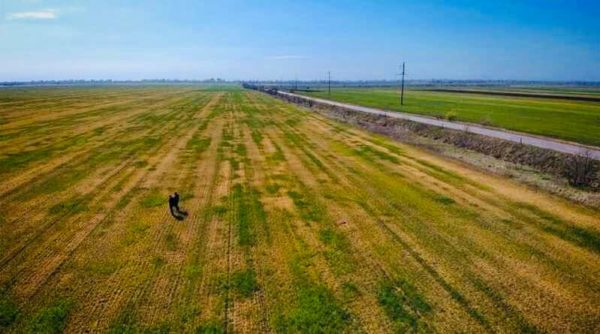 Фермеры Одесской области получат госкомпенсацию за потерянный урожай – Минагро