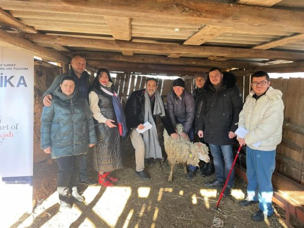 Жителям 7 гагаузских сел Бессарабии подарили 240 овец