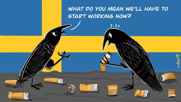 В Швеции специально натренированные вороны будут убирать окурки и мусор за людьми