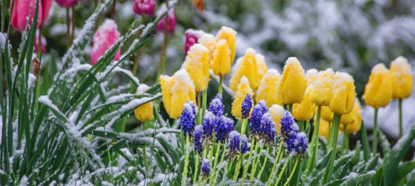 Зима не даст весне вступить в свои права: синоптик рассказал о погоде в марте