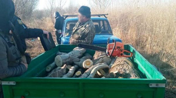 В Ренийской ОТГ поймали браконьера за вырубкой акаций возле села Орловка