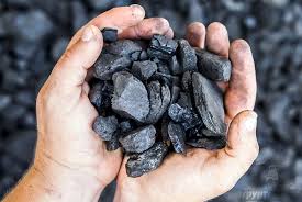 В Одесской области завхоз интерната заплатит полмиллиона за нехватку угля