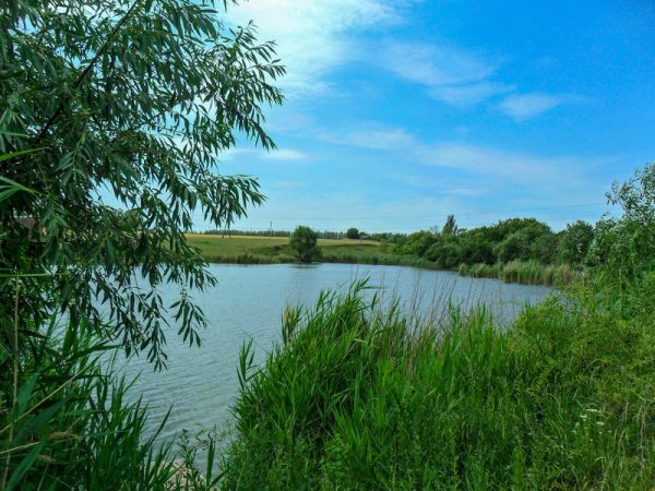 В Белгород-Днестровском районе в ставке утонул мужчина