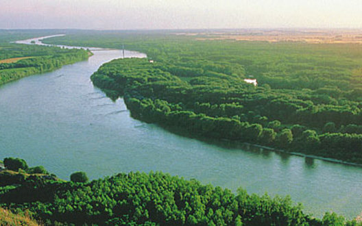 Европейская Бизнес Ассоциация предлагает план по ускорению грузоперевозок по Дунаю