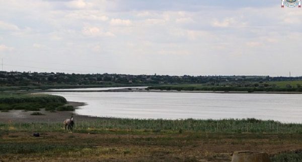 Озеро Китай на Одещині врятують водою з Дунаю