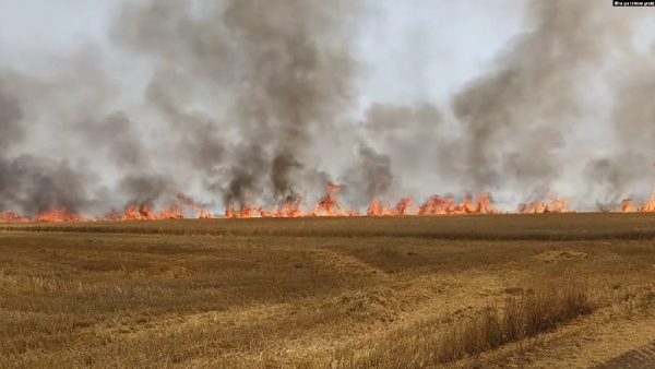 Продовольственный геноцид: оккупанты обстреливают украинские поля на юге во время сбора урожая