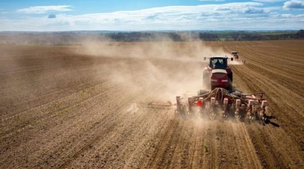 Корисна інформація для фермерських господарств Бессарабії: як отримати допомогу через Державний аграрний реєстр