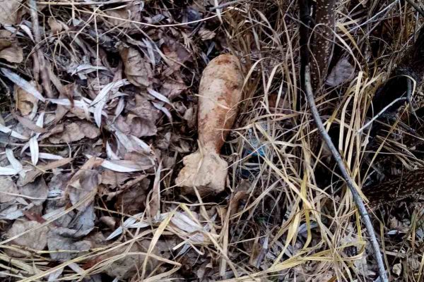 На півдні Одещини виявили вибухонебезпечні предмети, їх знищать піротехніки