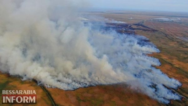 У Бессарабії не вщухають пожежі у заповідній частині Дельти Дунаю – вже вигоріло більше 1600 га плавнів