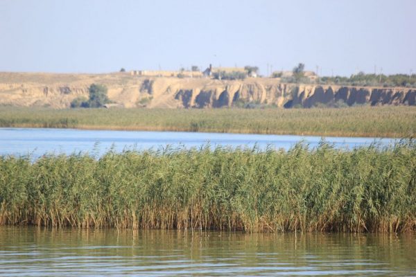 Одещина на межі екологічної катастрофи: в озерах регіону критичний рівень води