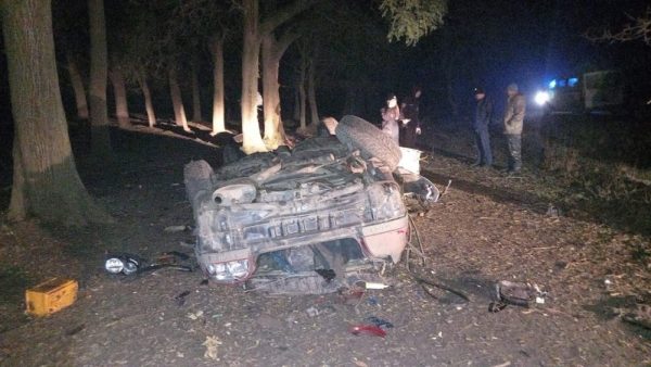 Смертельна ДТП у Татарбунарській громаді: водій легковика з‘їхав у кювет, зіткнувся з деревом і помер від травм у лікарні