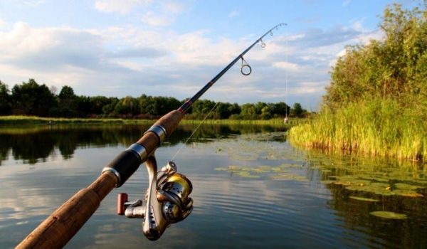 Рибалки тимчасово не зможуть ловити рибу на деяких водоймах області