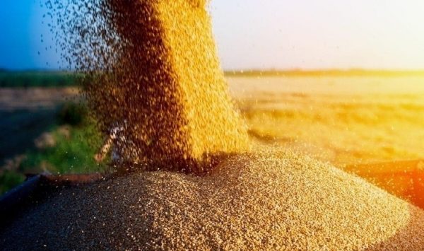 Україна експортувала майже 37 млн тонн зерна