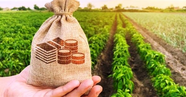 Фермерам Бессарабії пропонується благодійна допомога у вигляді товарно-матеріальних цінностей від іноземних колег
