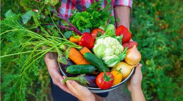 В Україні прогнозують подорожчання овочів та фруктів