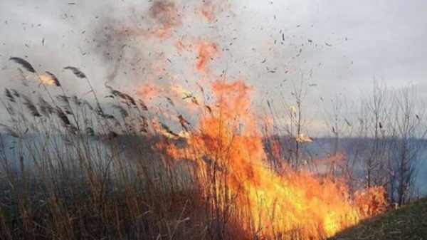 Знову зафіксована пожежа на території Дунайського біосферного заповіднику
