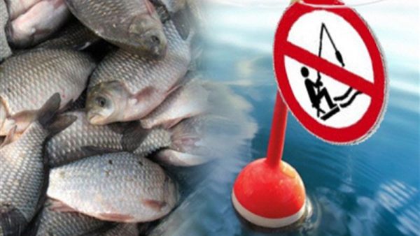 На Одещині встановили сезонні строки заборони на вилов риби