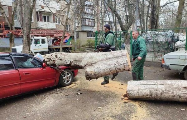 Через негоду в Одесі пошкоджено 30 автомобілів і повалено понад сто дерев
