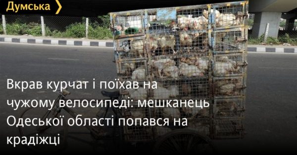 Вкрав курчат і поїхав на чужому велосипеді: мешканець Одеської області попався на крадіжці