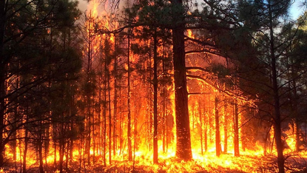 Надзвичайний рівень пожежної небезпеки встановлено на Одещині