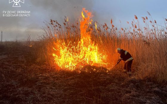 Штраф до 6 тисяч: на Одещині знайшли паліїв сухої трави