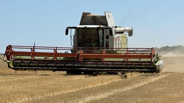 Одеські аграрії намолотили майже 400 тисяч тонн зерна