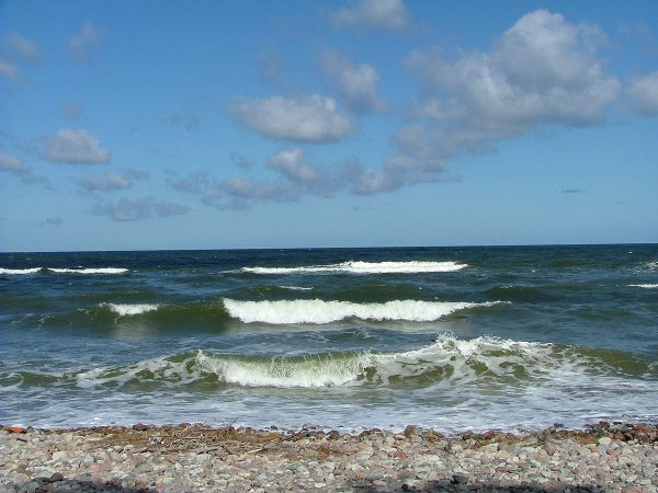 В Одесі та області продовжили заборону на купання у морі та річках, рибалити також неможна
