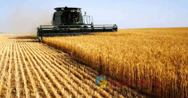 Одеські аграрії зібрали понад 3 мільйонів тонн урожаю