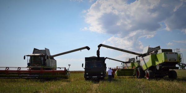 У деяких районах Бессарабії завершили збір ранніх зернових: перші підсумки Жнив-2023