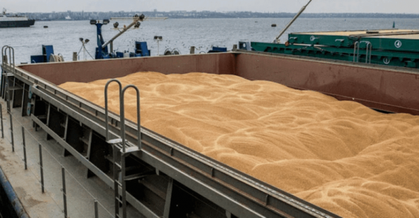 Аграрії закликають Одеську ОВА переглянути наказ про завчасне заповнення митних декларацій на експортне зерно