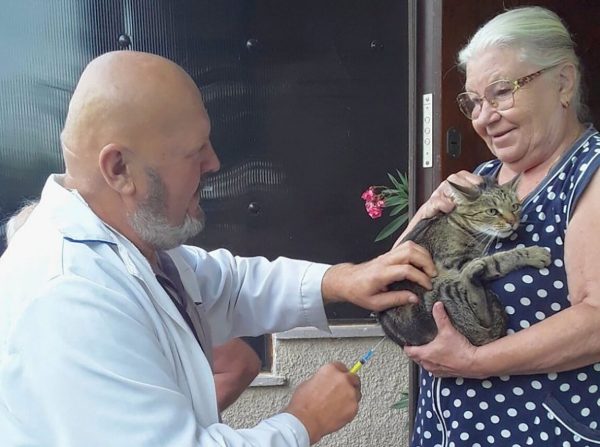 В Одеській області триває вакцинація кішок та собак від сказу: вже вакциновано понад 18 тисяч тварин
