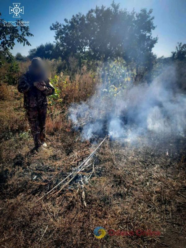 За спалювання трави жительці Одещини “світить” до 6 тисяч штрафу
