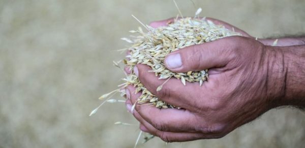 На весняну посівну 2024 із запасами: агровиробники Одещини отримають безкоштовні добрива від уряду США – що для цього потрібно