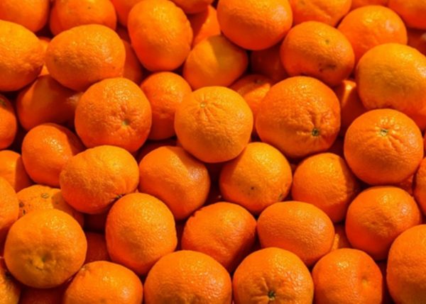 В Україну завезли отруйні мандарини з Єгипту: вони можуть з’явитися у продажу в Одесі