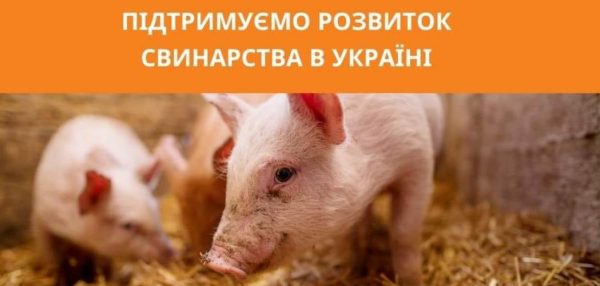 14,8 мільйонів гривень для розвитку свинарства – нові можливості для жителів Одещини