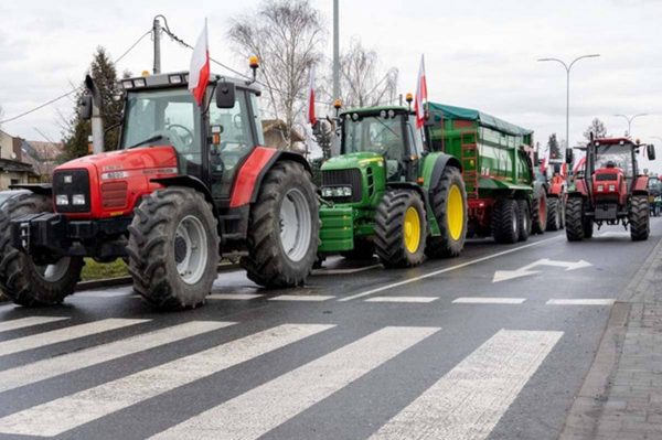Польські фермери виступають проти аграрного імпорту