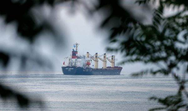 Україна може відновити перевезення контейнерів Чорним морем